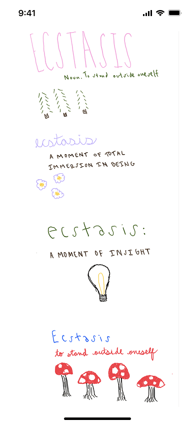 Ecstasis definition screen