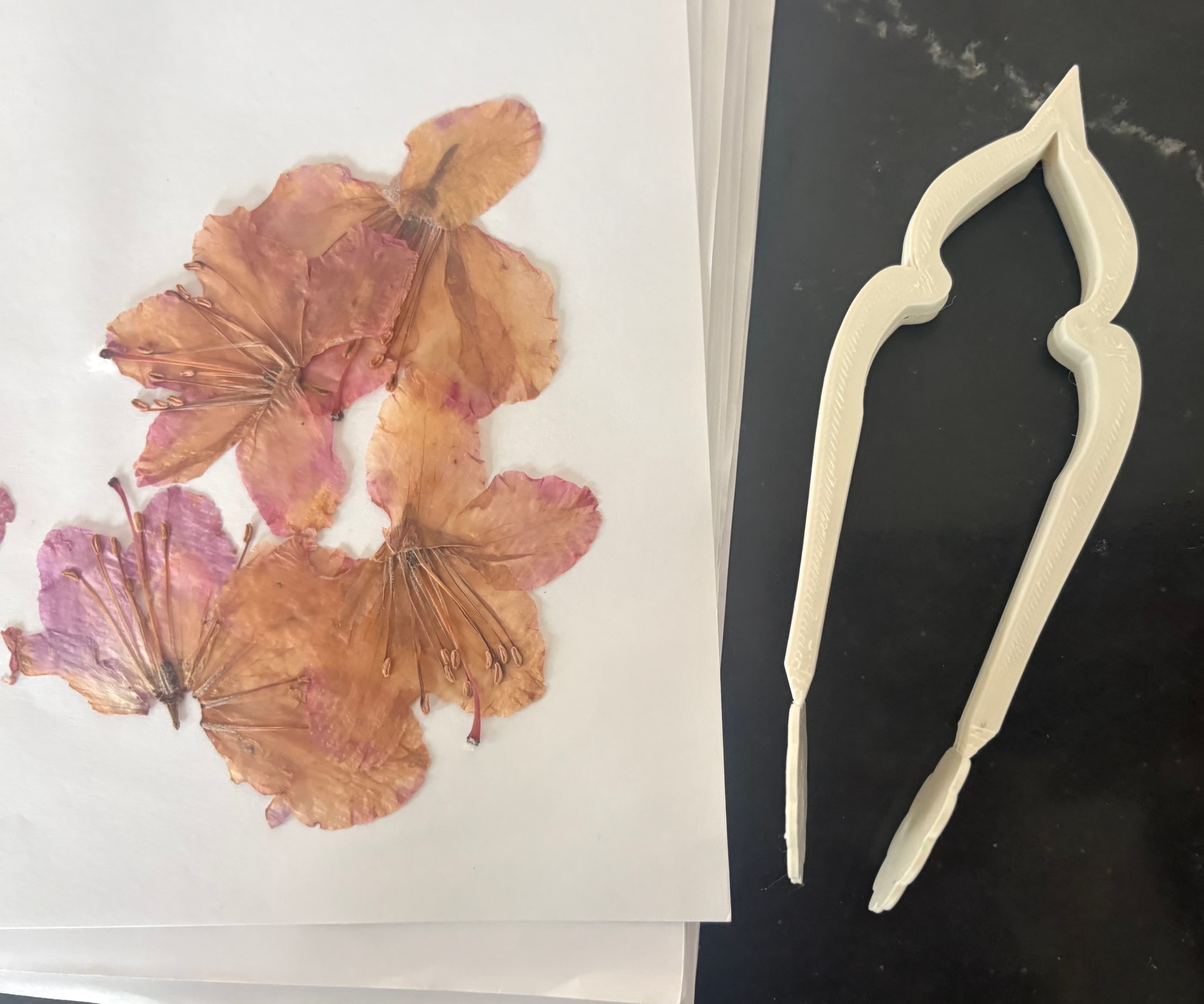 Final Flora Instrument beside pressed flowers