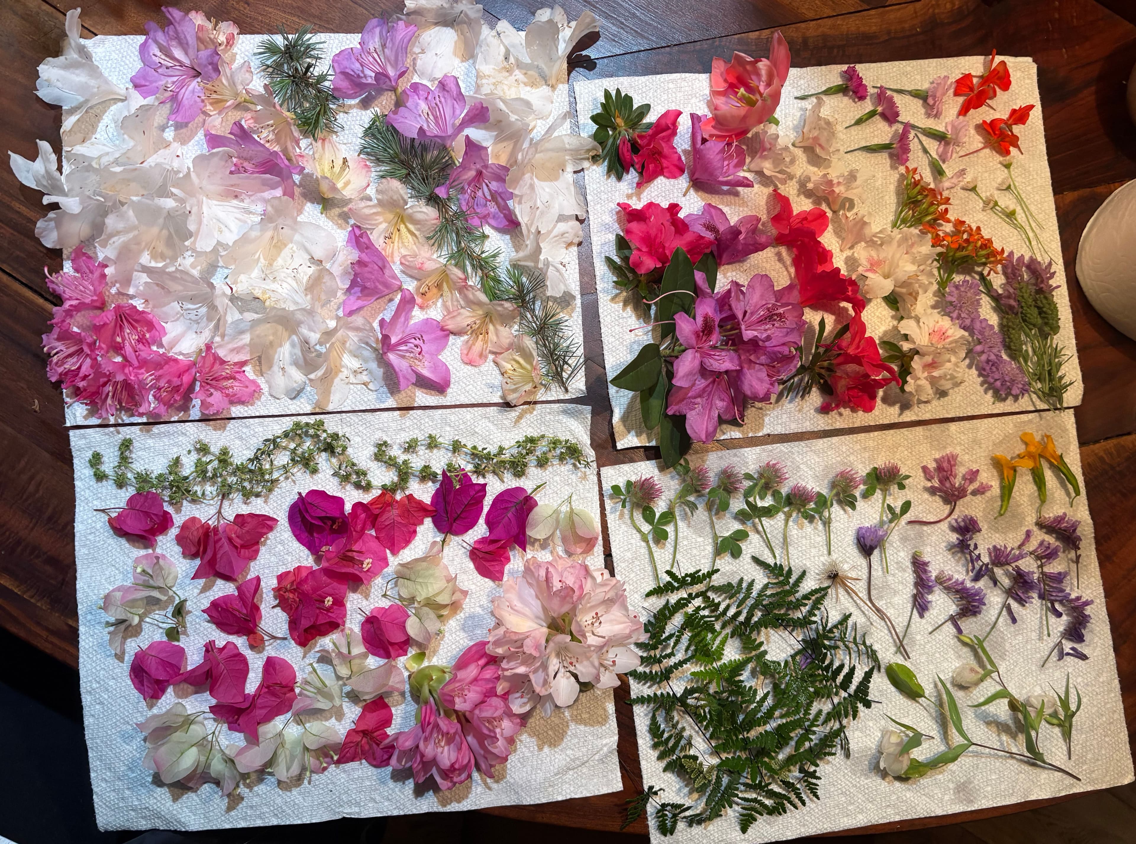 Fresh flowers collected before pressing