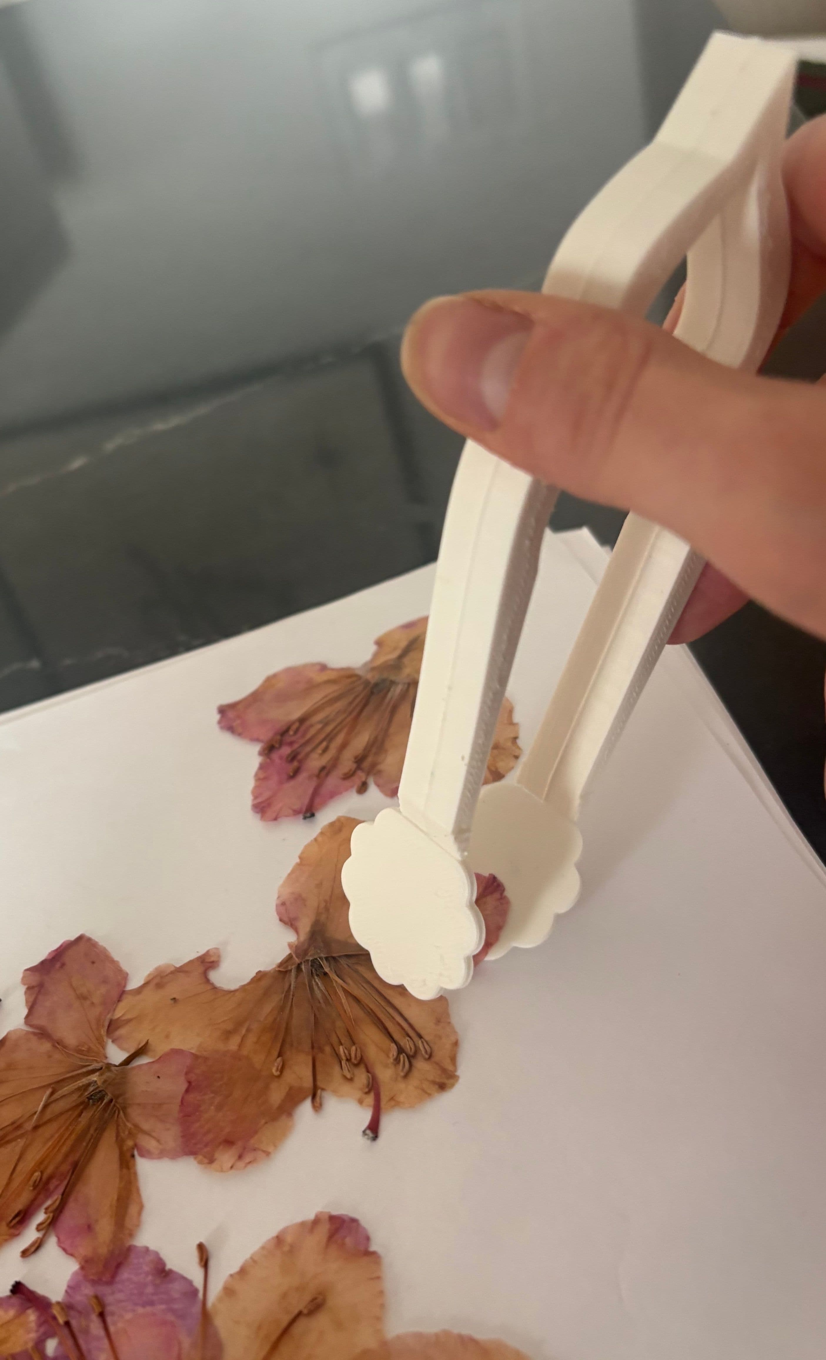 Flora Instrument being used to handle a pressed flower